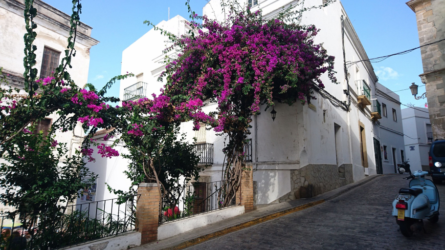 Exterior & Views 2, Casa Florinda Tarifa, Cádiz