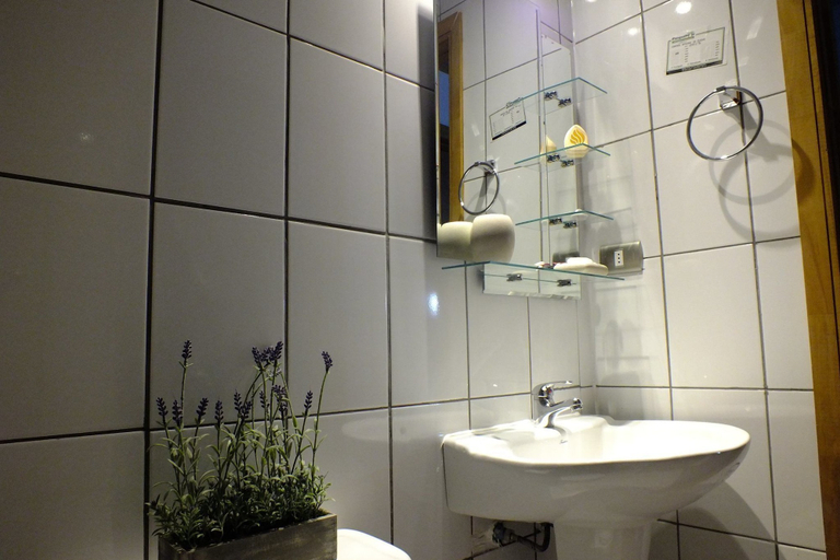 Bathroom 2, Hotel Terrapuerto, Valdivia