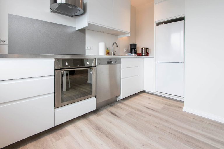 Others 5, Apartment V13, Reykjavík