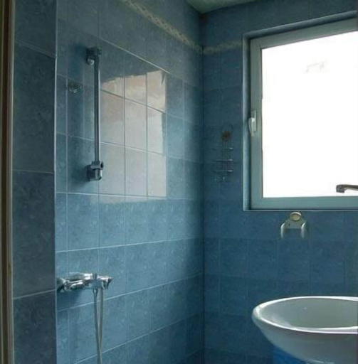 Bathroom 4, Pop Bogomil, Stolichna
