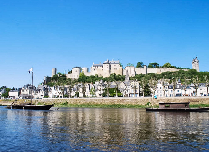 Exterior & Views 2, Citotel Le Plantagenet, Indre-et-Loire