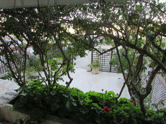 Property grounds 3, Villa Bouganville, Foggia