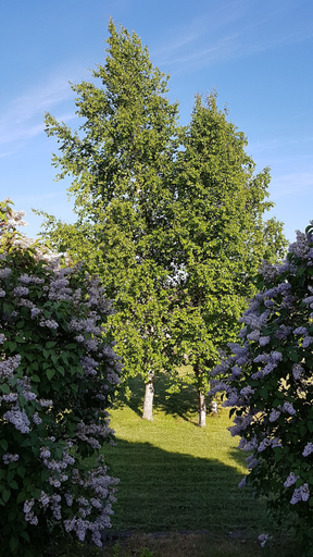Others 5, Sinilille 7 Holiday Home, Kuressaare