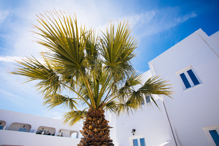 Exterior & Views 2, Nikos Hotel, South Aegean