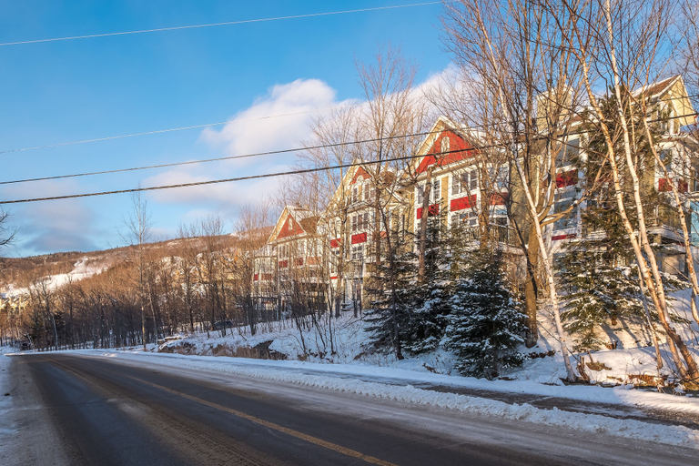 Others 5, Le Boisé - RVMT, Les Laurentides