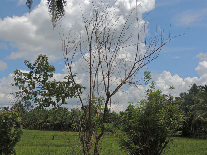 Others 4, Milk House Cottage Udawalawe, Sevanagala