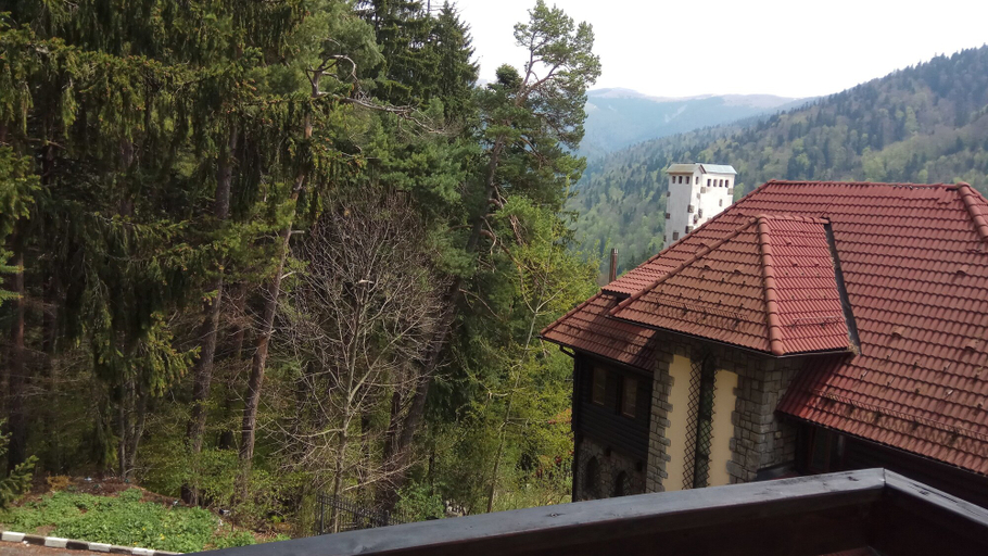 Others 5, Casa Adina, Sinaia