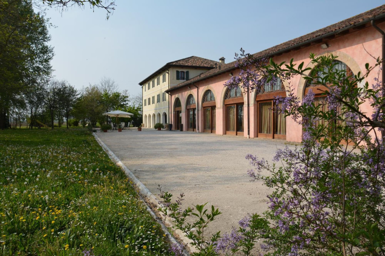Exterior & Views 2, Agriturismo Rechsteiner, Treviso