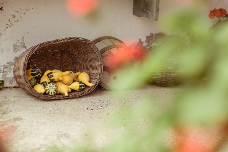 Food & Drinks 5, Country House Stara Kapela, Pleternica