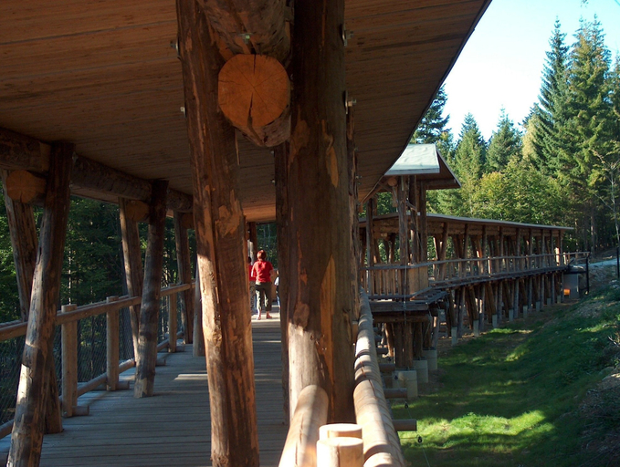Food & Drinks, Wildnisresidenz am Nationalpark, Regen