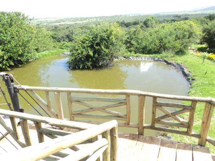 Others 5, Sangare Gardens, Kieni