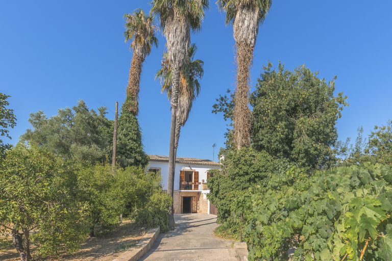 Exterior & Views, Villa Can Mir, Baleares