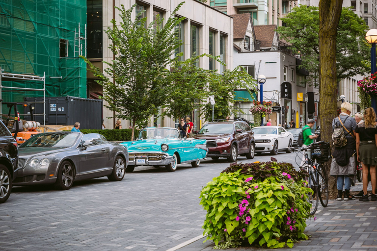 Others 5, QuickStay - Luxury Executive in Yorkville (Yonge & Bloor), Toronto