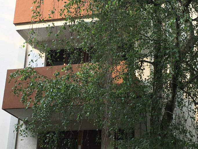Exterior & Views 2, Bed and Breakfast Bio Salix, Padua