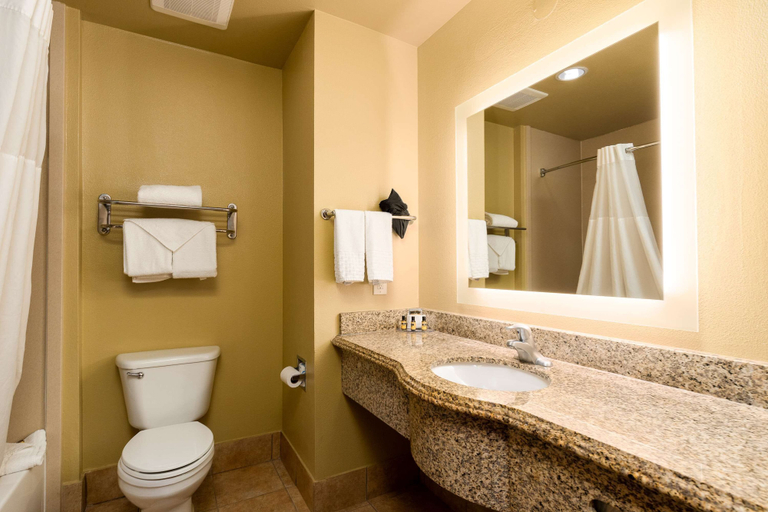 Bathroom 4, Best Western Plus Portland, San Patricio