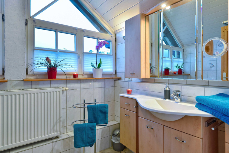 Bathroom, Schwarzwaldhaus Enzklösterle, Calw