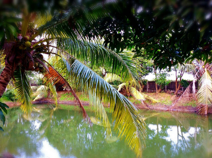 Others 4, The Zoosk Resort, Muang Suphanburi