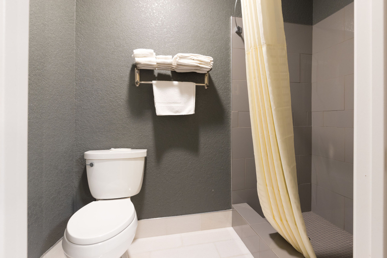 Bathroom 4, Cozy Rest Motel, Polk