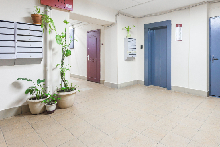Others 5, Apartment on Slepushkina, Sankt-Peterburg gorsovet