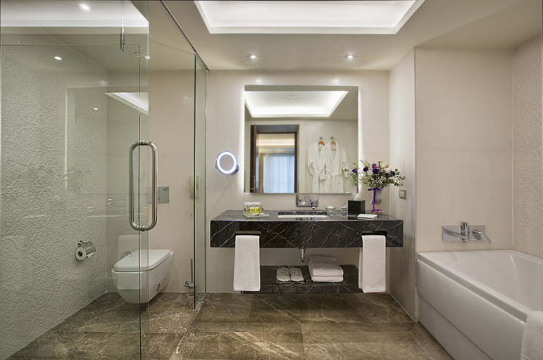 Bathroom 5, Dedeman Bostancı, Maltepe