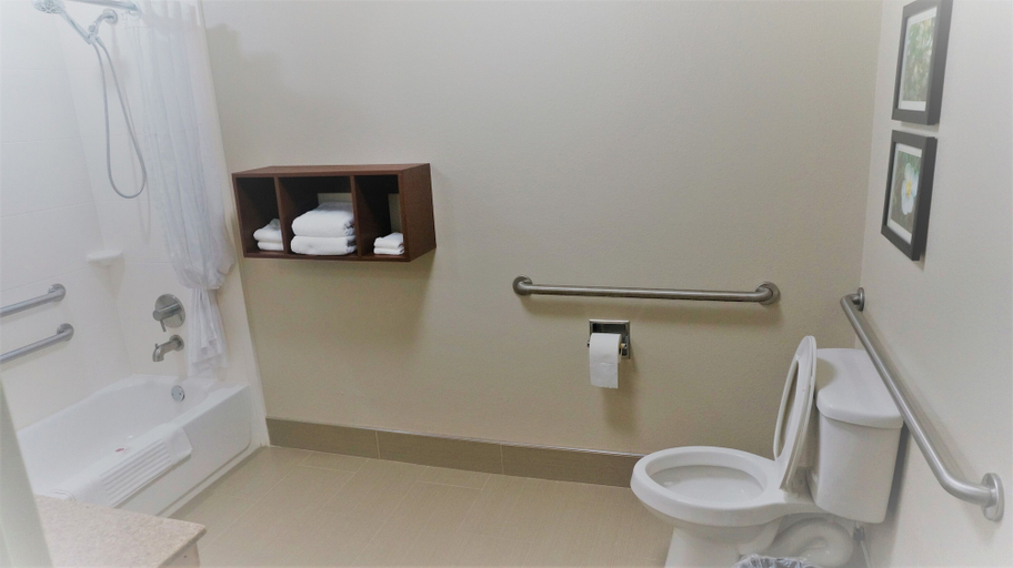 Bathroom 4, Comfort Inn & Suites Conway, Faulkner