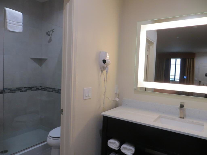 Bathroom 3, Scottish Inns and suites, Houston