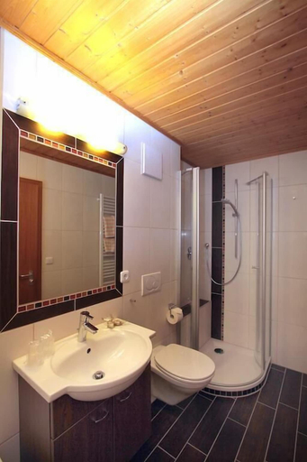 Bathroom 4, Pension St. Georg Mit Moststüberl, Passau