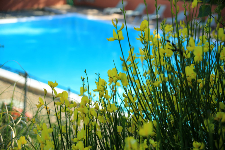 Sport & Beauty 5, Village de vacances La Colline Des Ocres, Vaucluse