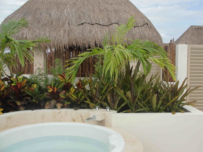 Sport & Beauty, Turquesa Penthouse 2 BDRM sleeps 5, Cozumel