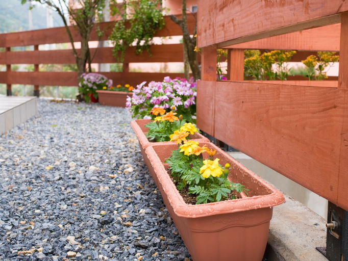 Others 4, Villa Suite HANA, Nago