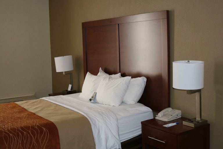 Bedroom 3, Comfort Inn Binghamton I-81, Broome