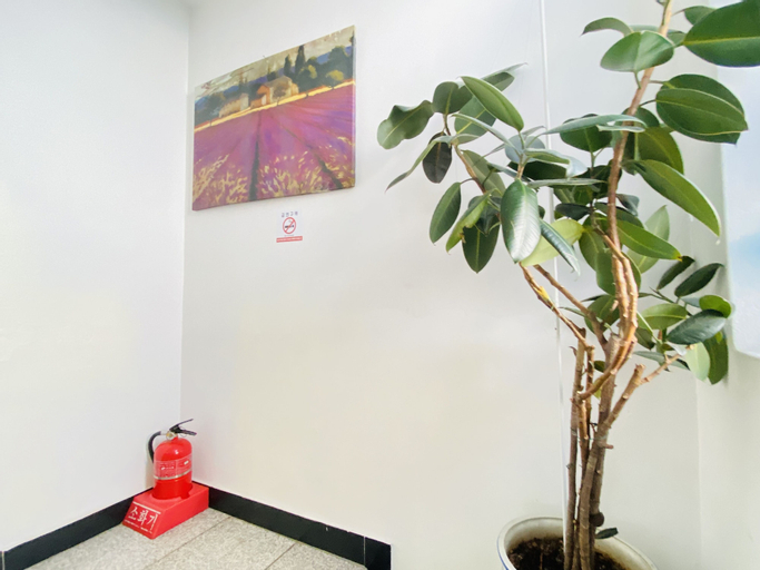 Others 5, Aroha Guest House, Yongsan