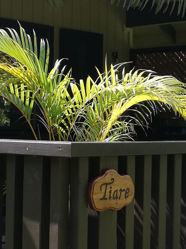 Exterior & Views 2, JJ's Retreat, Rorotonga