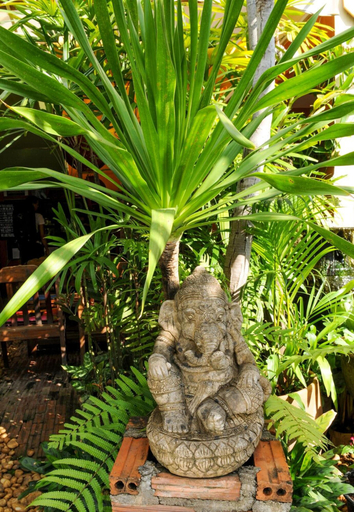 Others 5, All In 1 Guesthouse Chiang Mai, Muang Chiang Mai
