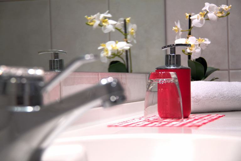 Bathroom 4, Gasthaus Adler Fohrenbühl, Ortenaukreis