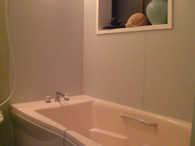 Bathroom 5, Numazu Ikkyuuan, Numazu