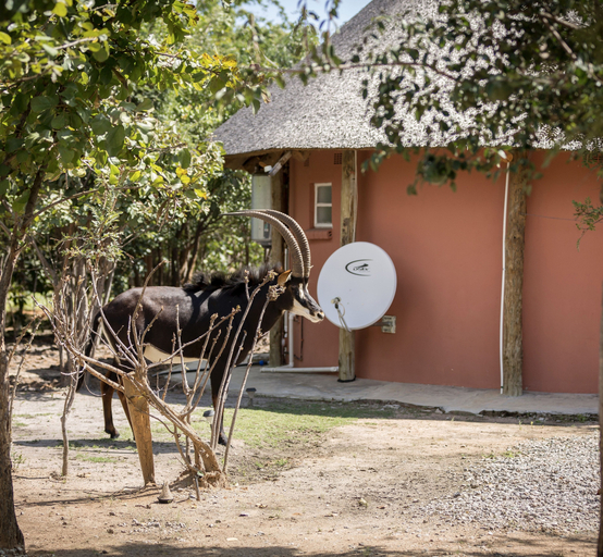 Others 5, Mokorro Game Ranch and Lodge, Chingola