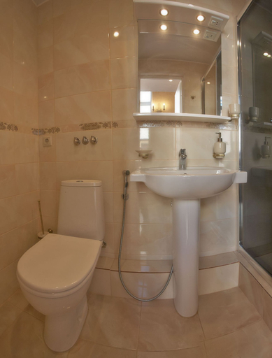Bathroom 4, Apart Hotel on Italianskaya 1, Sankt-Peterburg gorsovet