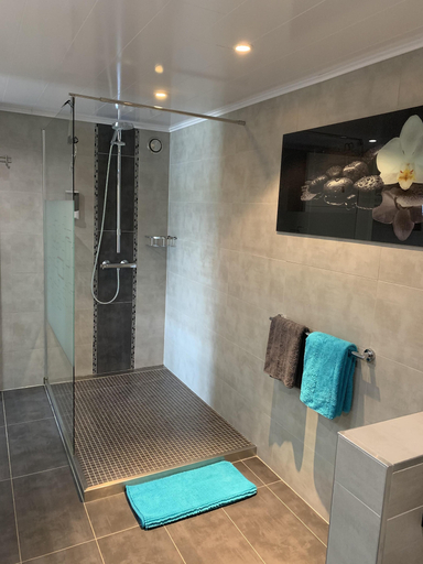 Bathroom 3, Country House Au Ballet des Hirondelles, Liège