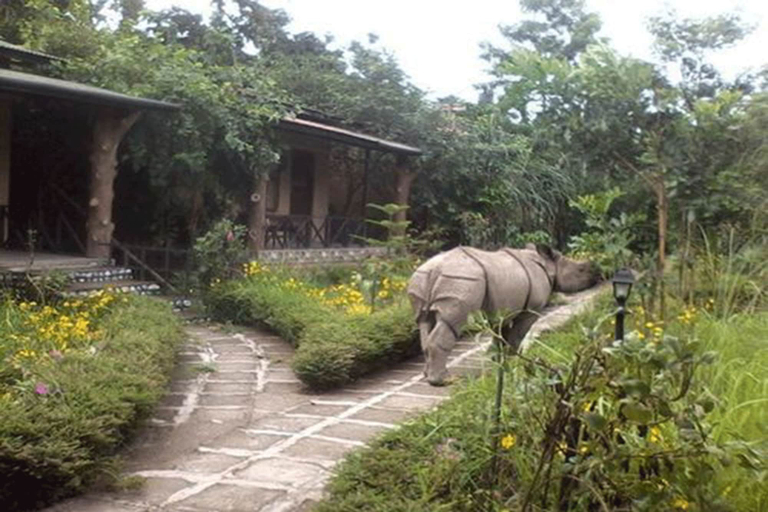 Others 5, Chitwan Gaida Lodge, Narayani