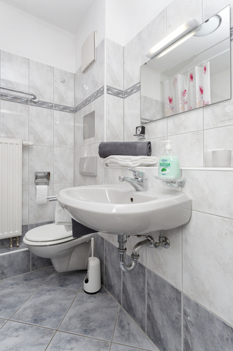 Bathroom 3, Apartment Saxonia, Dresden