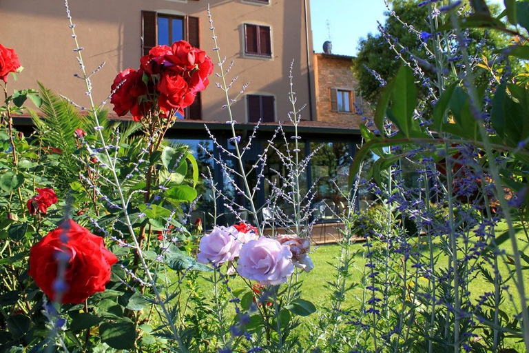 Exterior & Views 2, Boutique Hotel Al Grappolo d'Oro, Perugia