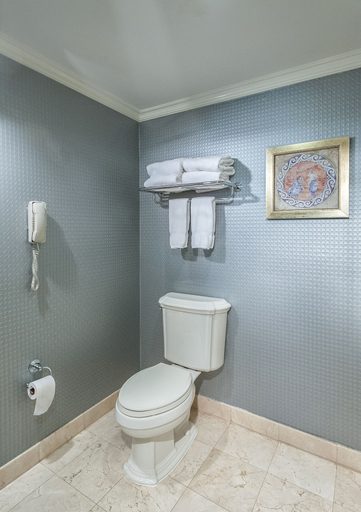 Bathroom 5, The Inn At Fox Hollow Hotel, Nassau