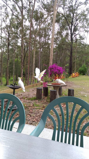 Others 4, Springwood Meditation Vacation Center, Springwood
