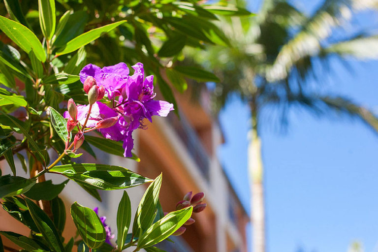 Exterior & Views 2, Bella Mare Beachside Apartments, Gold Coast