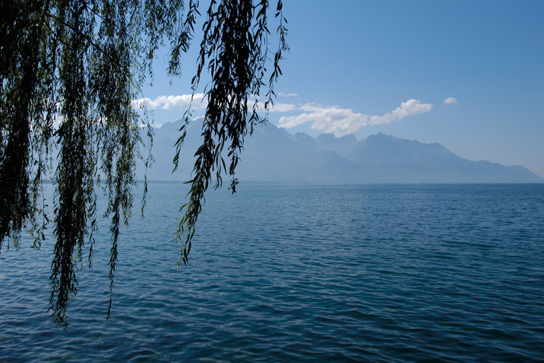 Others 5, Youth Hostel Montreux, Pays-d'Enhaut