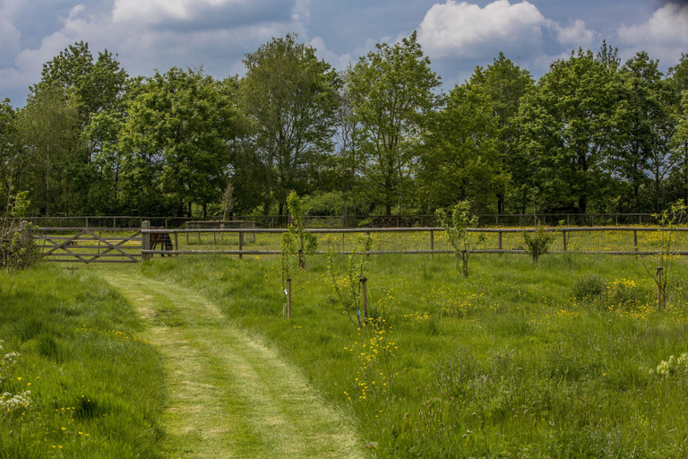 Others 5, The Cowsheds, Wiltshire