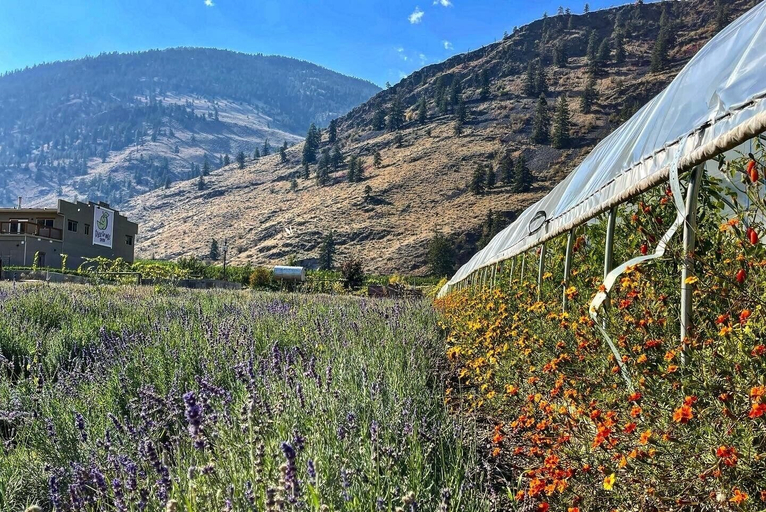 Others 5, Tree To Me Inn, Okanagan-Similkameen