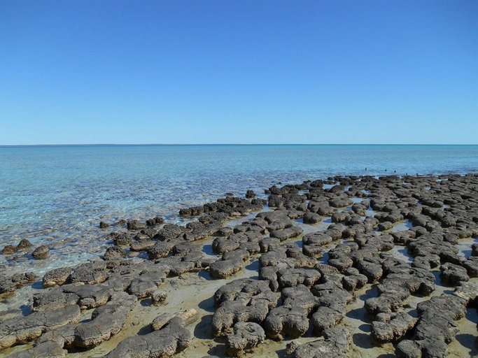 Others 5, Hamelin Pool Caravan Park, Shark Bay