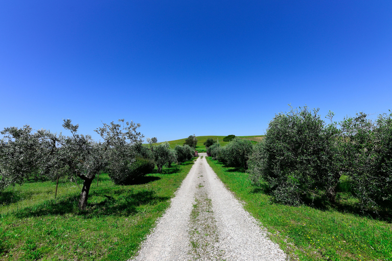 Others 4, Agriturismo Buonavista - Parco della Maremma, Grosseto